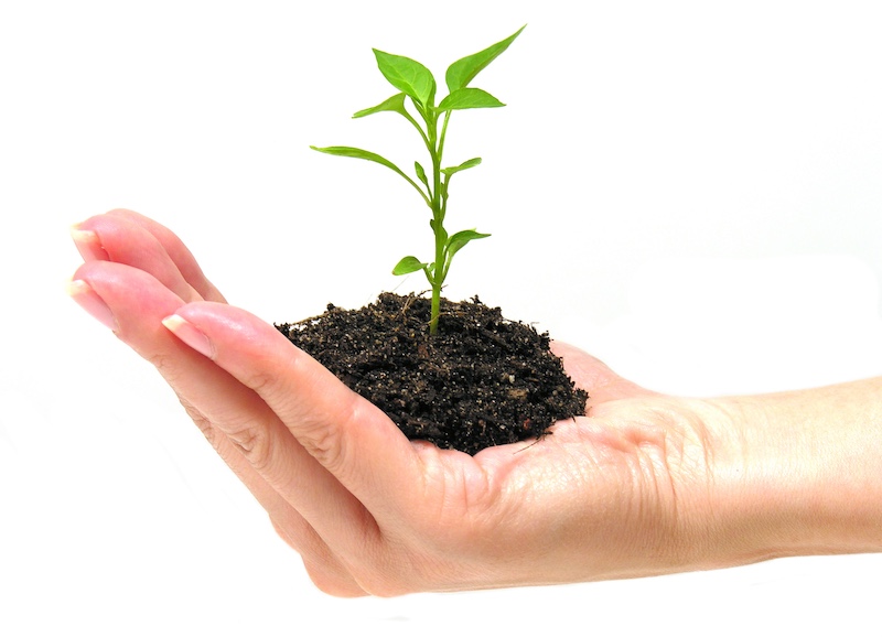 Groeien met Grow